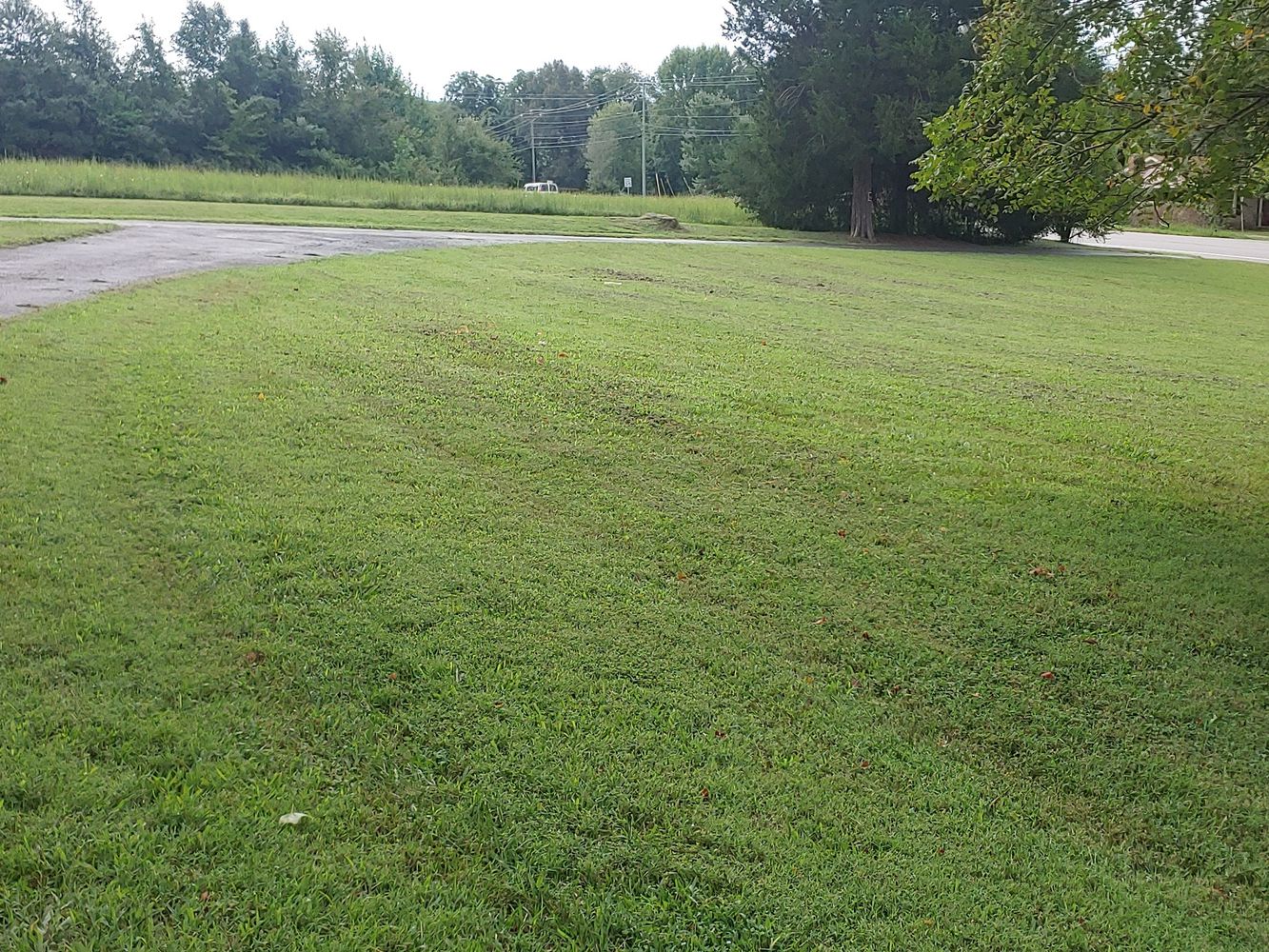 6540 Highway 41-A Lot 14, Pleasant View, TN 37146